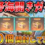 【荒野行動】広場で謎のコード「荒野海開き」入力すると無料でガチャが貰えるらしいから計１００連ガチャ回して検証してみた🥝【海開きガチャ】