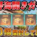 【荒野行動】広場で謎のコード「荒野海開き」入力すると無料でガチャが貰えるらしいから計１００連ガチャ回して検証してみた🥝【海開きガチャ】