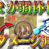【荒野行動】ARの頭ダメージが弱体化⁉これはバグ？仕様？SRはそのままだからわんちゃん「孤島作戦」の…無料無課金ガチャリセマラプロ解説！こうやこうど拡散のため👍お願いします【アプデ最新情報攻略まとめ】