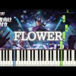 FLOWER 【 初心者向け ドレミ付き 】 荒野行動S13テーマソング 簡単ピアノ ピアノ 簡単