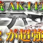 【荒野行動】S20アプデ。新銃「AK14」追加！金銃はM27…？ちょっと違うような…SR超強化！防具強化でARが相対的弱体化へ。こうやこうど拡散のため、お願いします【最新情報攻略まとめ】