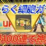 【荒野行動】はたらく細胞ガチャを無料で100箱貰って回してみたWWW