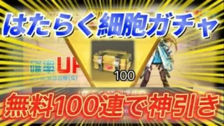 【荒野行動】はたらく細胞ガチャを無料で100箱貰って回してみたWWW