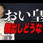 大変遅くなりました。皇帝顔出しの進展報告です【重大】