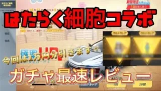 【荒野行動】はたらく細胞コラボガチャ最速レビュー！安定の神引きしたwwwwwwww