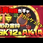 【荒野行動】壬寅降臨ガチャ!! 初の金枠SK12サイガ＆AK14!!カッケェ!!