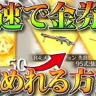 【荒野行動】爆速で「金券」集めれる方法！→「超黄金の宝箱」を高速で集めて金銃→金チケ！ペニンシュラ攻略！無料無課金ガチャリセマラプロ解説。こうやこうど拡散のため👍お願いします【アプデ最新情報まとめ】