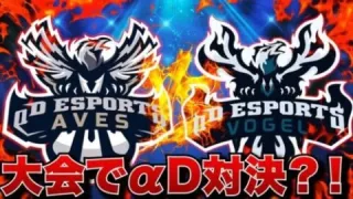 Aves VS Vogel【荒野行動】