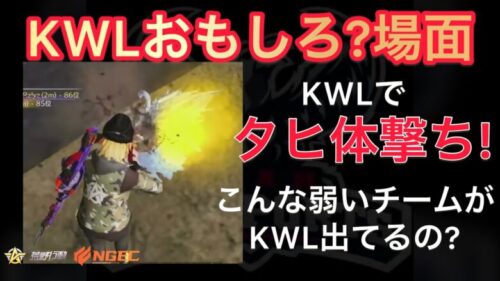 【荒野行動】第2のぼるぼるえ?ろう選手【超無課金/αD/KWL/むかたん】