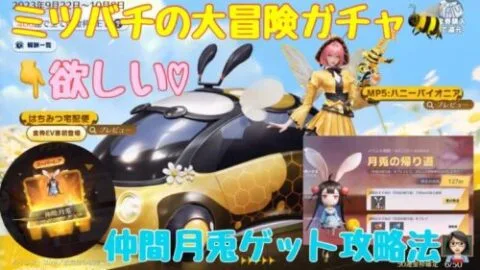 【荒野行動】ミツバチの大冒険ガチャ🐝はちみつ宅急便欲しい♡仲間月兎ゲット攻略法👩🏻‍🏫#荒野行動 #荒野行動ガチャ #荒野あーちゃんねる