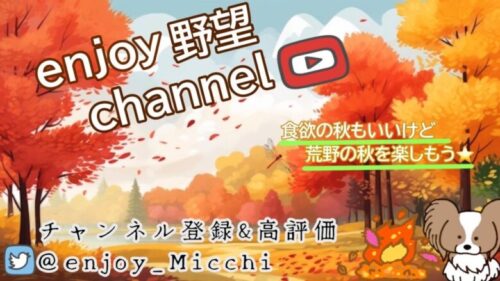 10/12（木）夜Ver.【荒野行動/視聴者参加型LIVE配信】みっちゃん実況(*^^)v 24時からは無言配信やる時がありますw※概要欄必読してから遊びにきてね♪