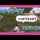 【荒野行動】取り残されたいくたんがひたすらマラソンしてた日。