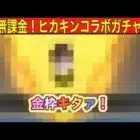 #ヒカキンコラボ「無課金なのにガチャで金枠をだしてゆくぅ～」【荒野行動】1827PC版「荒野の光」「荒野6周年」「荒野ビルド」#荒野の光HIKAKINSP