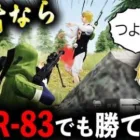 【荒野行動】真の猛者なら新武器AMR-83縛りでも勝てる説www【AMR-83】【6 周年金券イベント】【荒野の光】