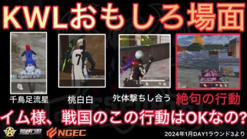 【荒野行動】戦国ゲーミングのキノコかわいいが絶句する行動を。イム様これOKなの？１月KWL２０２４DAY１ラウンド３【超無課金/αD/KWL/むかたん】Knives Out