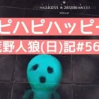 【音痴注意】猫ミームに毒された男/荒野人狼(日)記#560