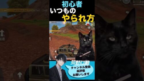 【荒野行動】初心者のいつものやられ方😹#初心者 #荒野行動 #ちと荒野 #荒野の光 #猫ミーム