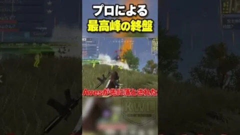 プロチームの最高峰の決戦【荒野行動】#shorts