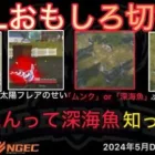 【荒野行動】配信中に放送事故でぼっきークビか。皆はむかたんって深海魚知ってる？おもしろ切抜き１３選！５月KWL２０２４DAY２ラウンド１【超無課金/αD/KWL/むかたん】Knives Out