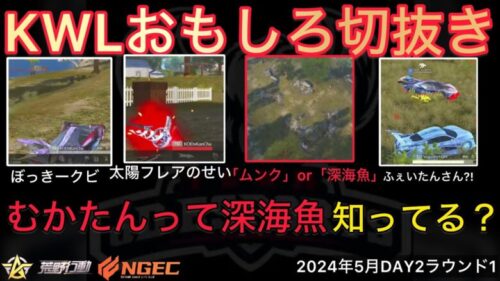 【荒野行動】配信中に放送事故でぼっきークビか。皆はむかたんって深海魚知ってる？おもしろ切抜き１３選！５月KWL２０２４DAY２ラウンド１【超無課金/αD/KWL/むかたん】Knives Out