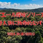 【検証】その謎を解明すべく、人狼部屋の奥地へと向かった【衝撃な結末】/荒野人狼(日)記#813