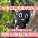 【無駄話】ピエールがXのスペースで話をしている雰囲気/荒野人狼(日)記#8157