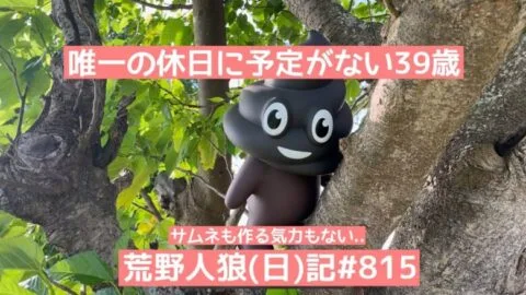 【無駄話】ピエールがXのスペースで話をしている雰囲気/荒野人狼(日)記#8157