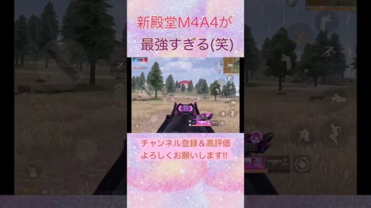 【荒野行動】新殿堂M4A4が最強すぎた笑 #08 #荒野女子 #キル集 #新殿堂 #m4a4