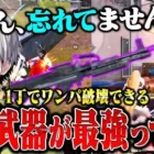 【神武器】忘れ去られた最強武器で無双してみた【荒野行動】