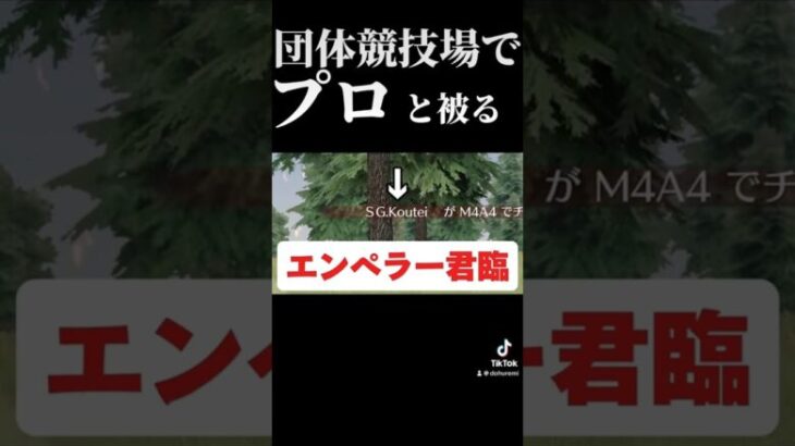 【荒野行動】皇帝さん(?)が団体にいたので絶対に倒したい　#荒野行動　#荒野 #皇帝