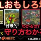 【荒野行動】BDを中心に世界が回ってる。Vogelに守り方を…。おもしろ場面１２選！１０月KWL２０２４DAY２ラウンド３【超無課金/αD/KWL/むかたん】Knives Out