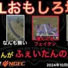 【荒野行動】ぬーぶが解説者クビか。きゃんさんが来るがフェイタンさんの声真似が激似wおもしろ場面１２選！１０月KWL２０２４DAY３ラウンド１【超無課金/αD/KWL/むかたん】Knives Out