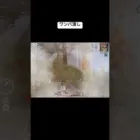 ゲリラ終盤ワンパ潰してみた#荒野行動 #ネタ