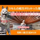 【ラジオ】寝る前の最後の1戦だったら萎える展開だけど自分で楽しさを見つけるやつ/荒野人狼(日)記#928