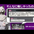 【作業用BGM】体調が悪いときは人狼楽しくない【もしくは呪詛】/荒野人狼(日)記#936