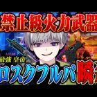 【ソロスク】禁止クラスの最強武器でフルパのガン凸瞬殺してきた【荒野行動】