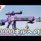 M16幻のユニコーン30000キルカウンターへの道 27278～【荒野行動】 Knives Out