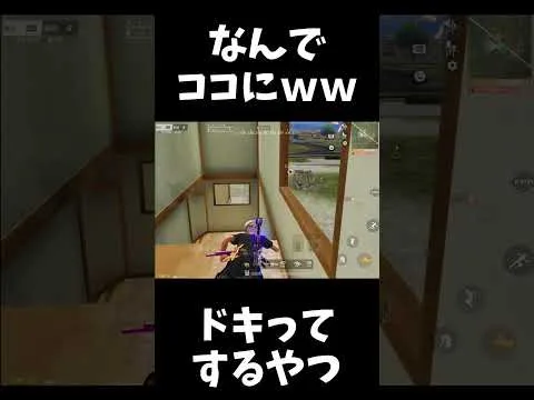 なんでこんなところにｗｗ【#荒野行動】#shorts   #荒野組　Knives Out