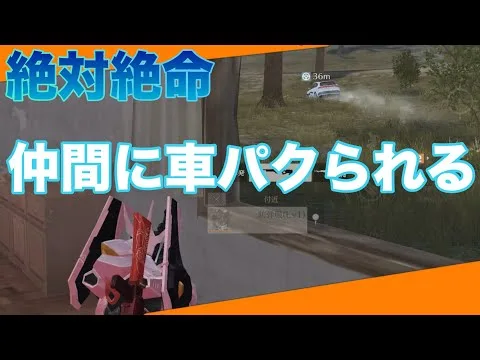 【荒野行動】仲間に車パクられて絶体絶命👀 #初心者 #荒野行動 #荒野組  #ちと荒野