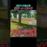 95式極めるとノーカスタムでも無反動できます【荒野行動】