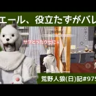 クインのキングがシングルに行くと…./荒野人狼(日)記#975