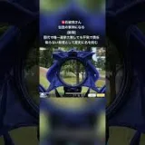 がんばれ石破！負けるな石破！何が何でも日本を壊せ！目を醒ませ国民㊗️ #荒野行動エンジョイ勢 #荒野行動 #荒野gogofes #フォートナイト #かっこいい #荒野行動キル集 #fortnite