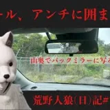 電波のない山奥でヤリラフィに囲まれる/荒野人狼(日)記#1009