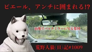 電波のない山奥でヤリラフィに囲まれる/荒野人狼(日)記#1009
