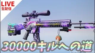 M16幻のユニコーン30000キルカウンターへの道 27893～【荒野行動】 Knives Out