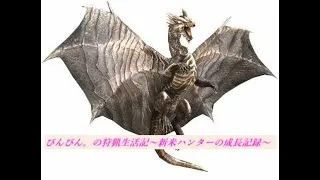 【荒野行動】おすすめのサバゲーありますか！！初心者が始めようと思ってますよ！【PS5】#荒野行動#Cod#PUBG#APEX#フォートナイト
