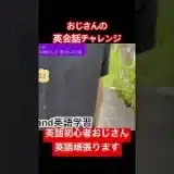 【英会話】英語学習初心者のおじさんが毎日頑張ってます。応援してね。 #英語 #英会話 #猫のいる暮らし #英語 #猫好きさんと繋がりたい #ゲーム実況 #荒野行動 #おじさん #中年 #ネコ