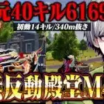 【無反動】ソロスク激戦を制して殿堂M4A1で40キル達成した瞬間【荒野行動】