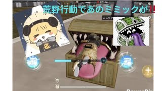荒野行動神コラボ来たー⁉️無双してやったぜ‼️