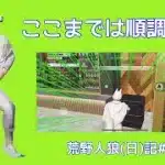 人狼のときは最後まであがく/荒野人狼(日)記#1068
